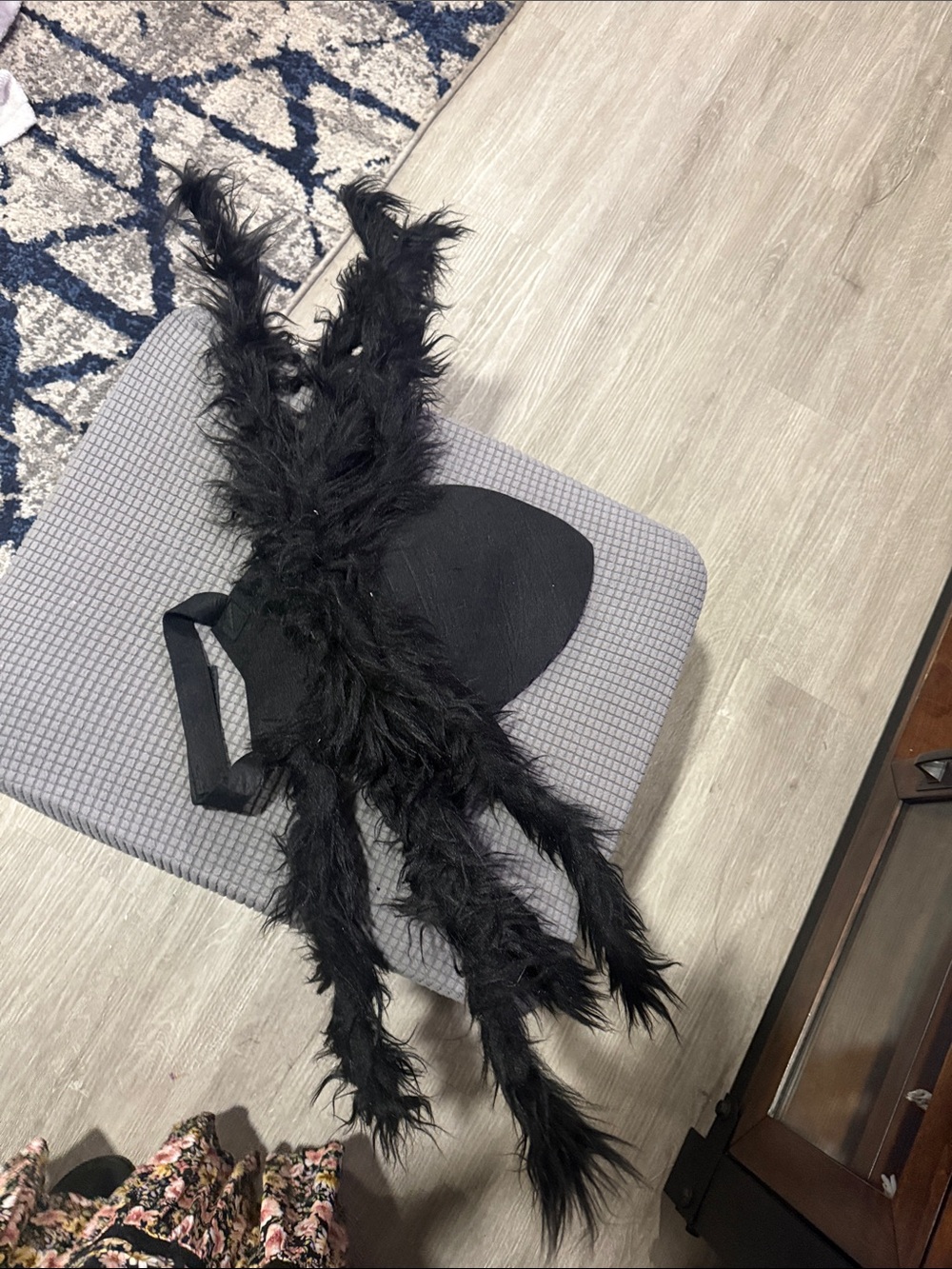 Dog Costume Black Spider